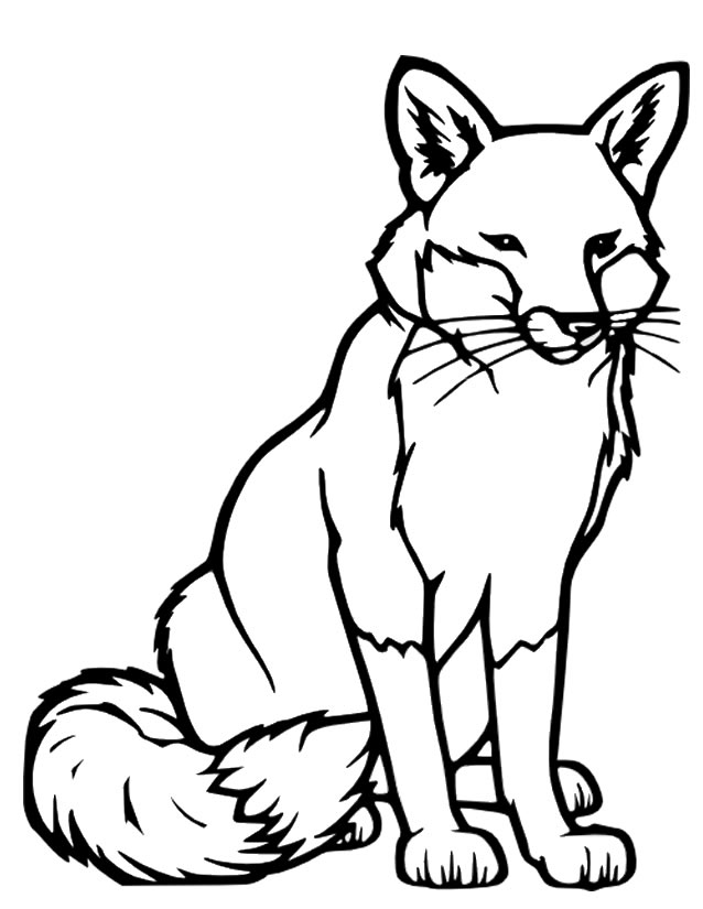 Coloriage d'un renard dans un environnement forestier