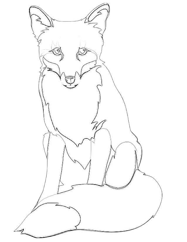 Un renard curieux explorant la forêt