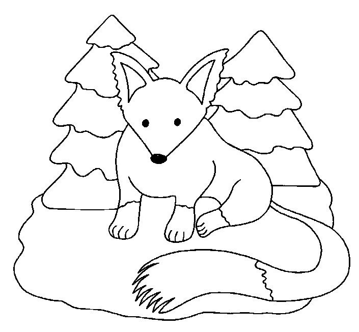 Coloriage d'un renard curieux dans la forêt