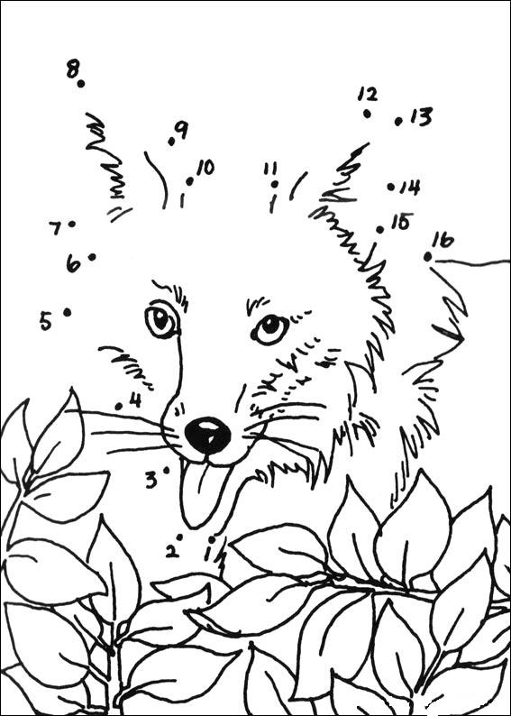 Coloriage d'un renard dans une forêt avec un arrière-plan de végétation