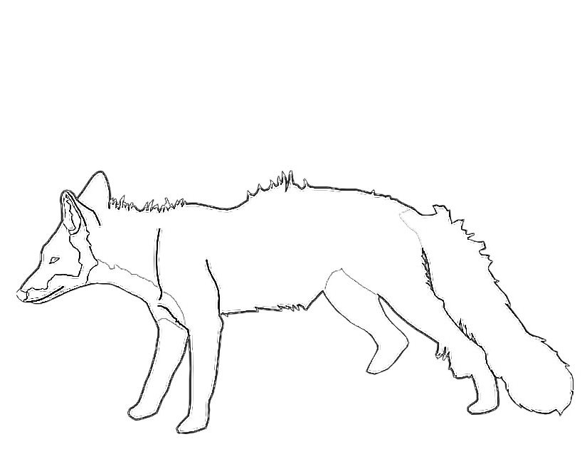 Coloriage d'un renard dans la forêt avec des arbres et des buissons Coloriage d'un renard dans la forêt avec des arbres et des buissons
