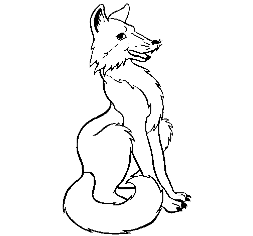 Un renard assis dans la forêt, entouré de feuillage