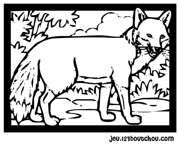 Un renard curieux explorant son environnement forestier
