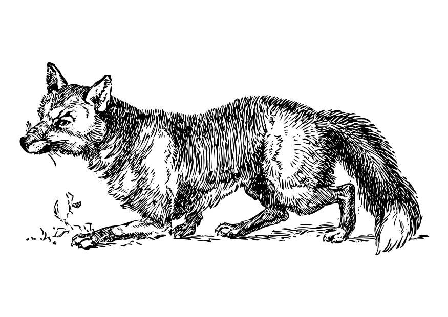Coloriage d'un renard dans la forêt