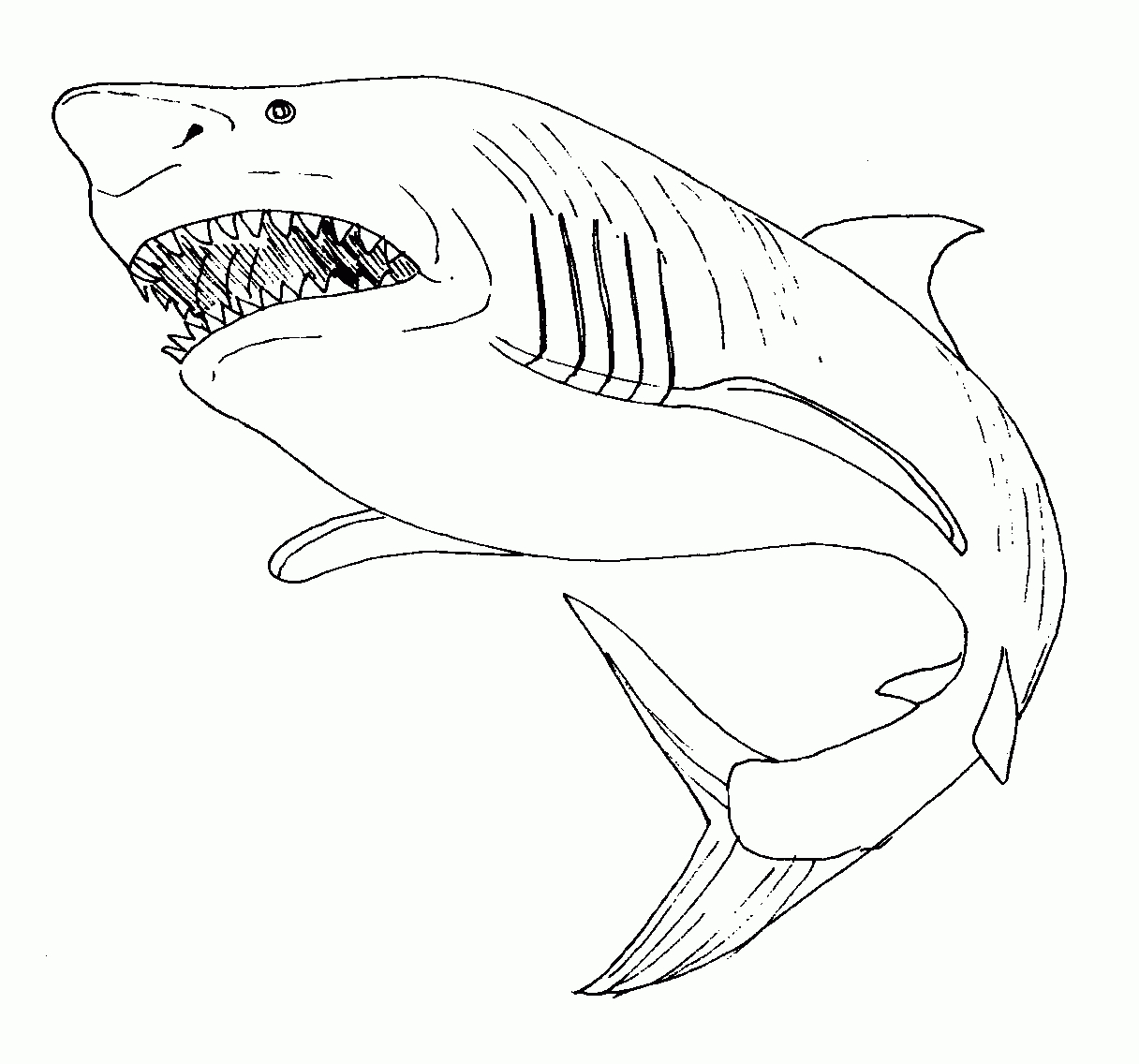 Coloriage d'un requin évoluant dans les profondeurs marines Coloriage d'un requin évoluant dans les profondeurs marines