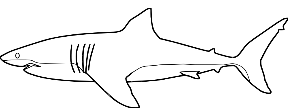 Requin nageant dans les eaux bleues avec des bulles autour