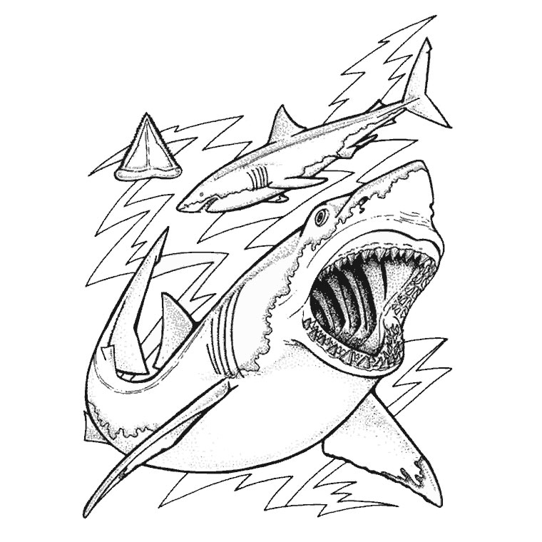Un requin majestueux nageant dans les profondeurs marines