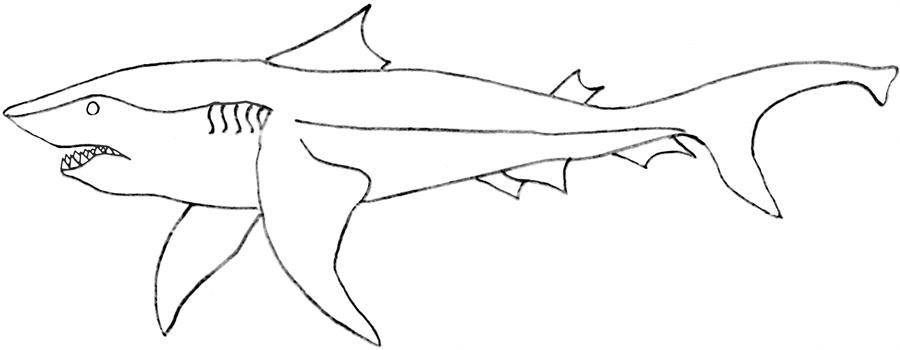 Un requin nageant dans l'océan