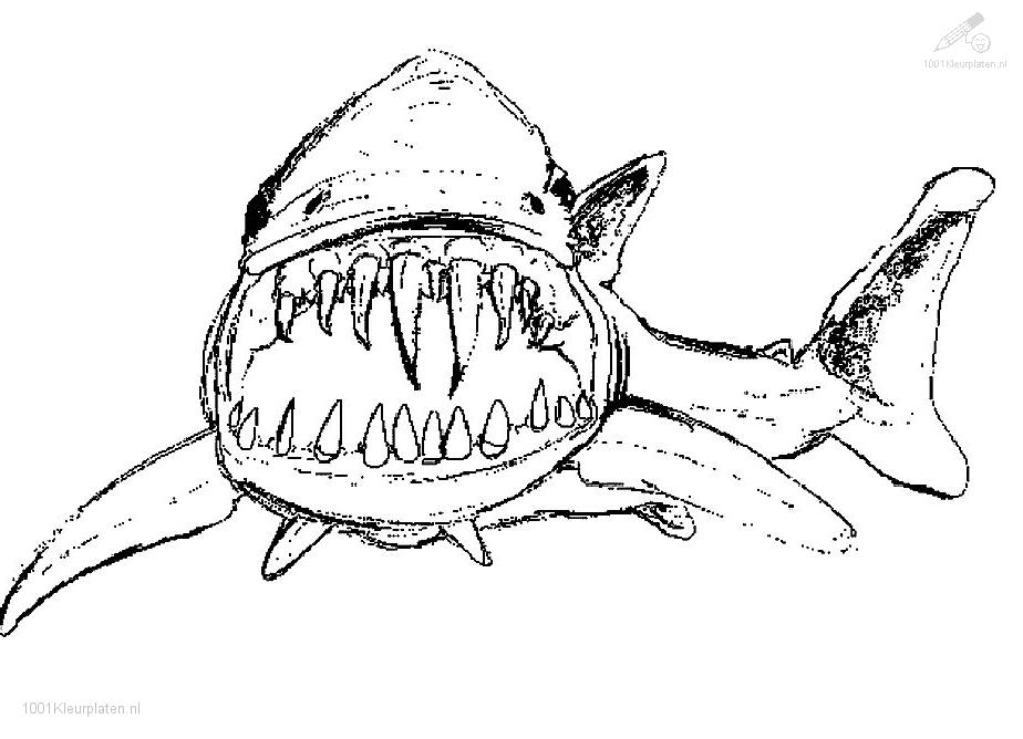 Coloriage d'un requin nageant dans l'océan