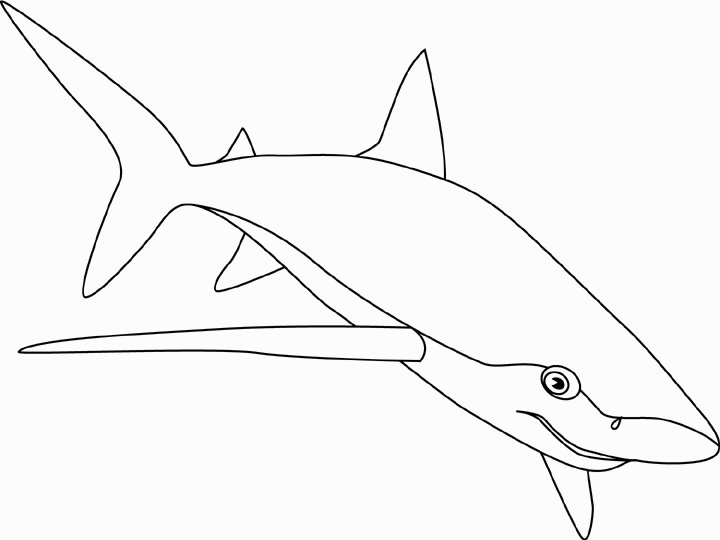 Un requin nageant dans les profondeurs marines