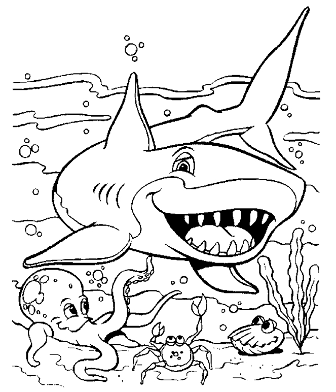 Requin nageant dans l'océan avec un fond de coraux