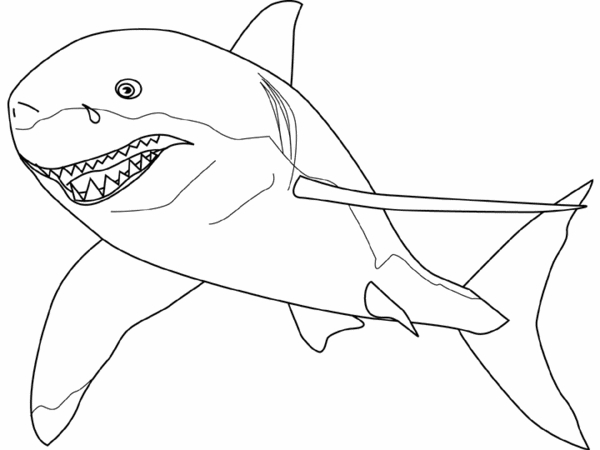 Coloriage d'un requin nageant dans l'océan
