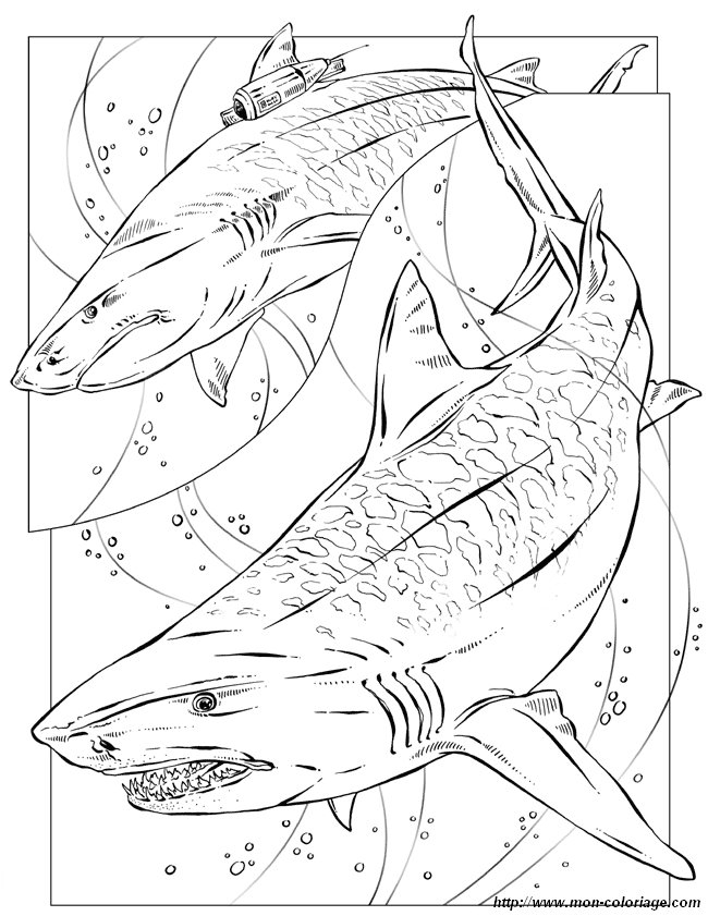 Coloriage d'un requin nageant dans l'océan
