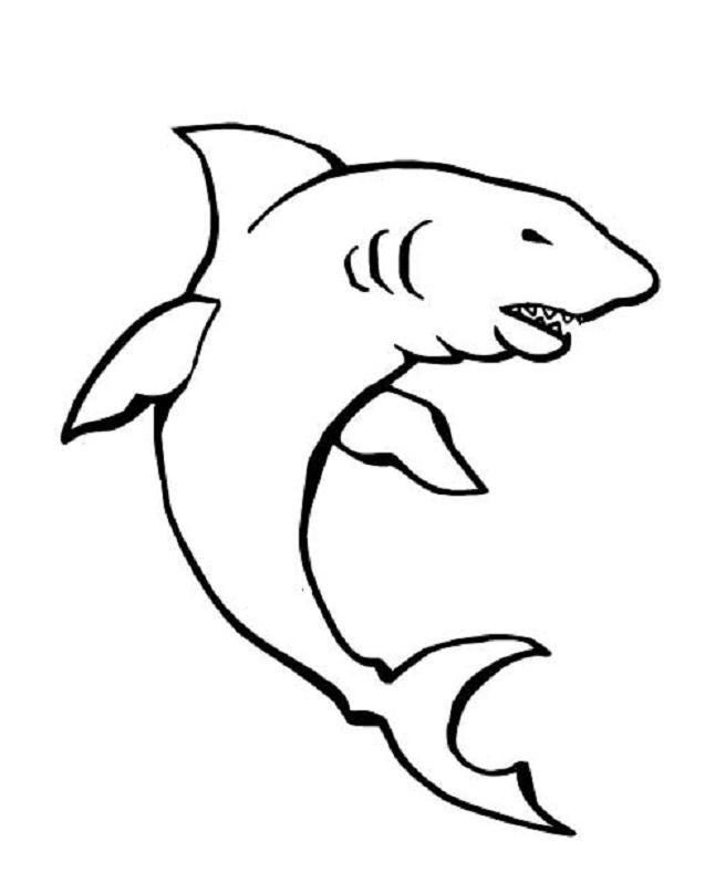 Un requin nageant dans l'océan avec des poissons