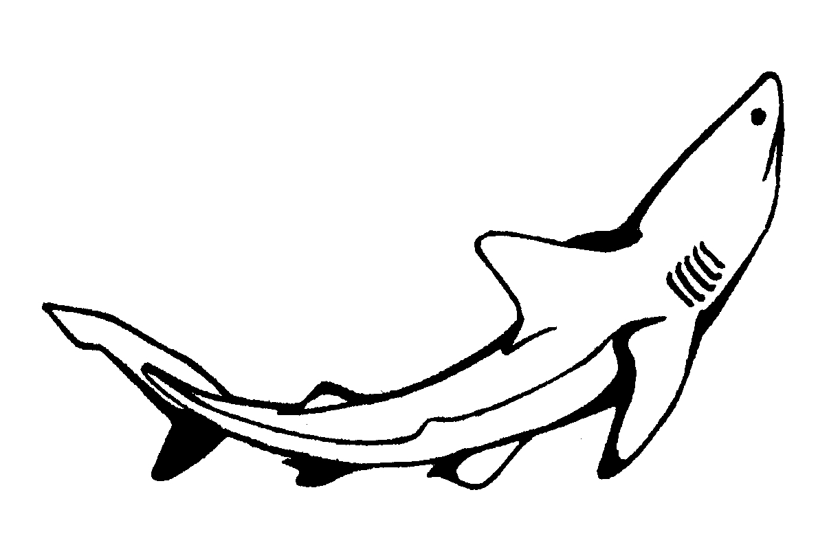 Requin nageant dans un océan stylisé