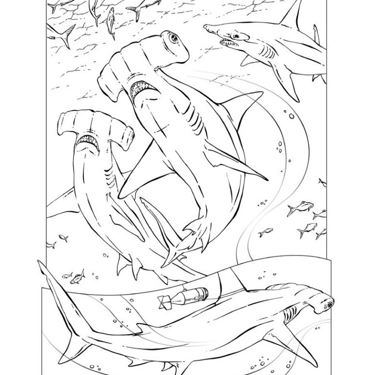 Coloriage d'un requin nageant dans l'océan