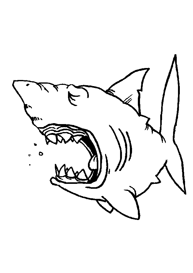 Requin nager dans l'océan avec des éléments marins
