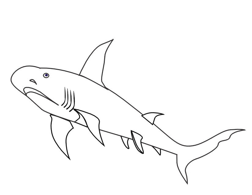Un requin nageant dans les profondeurs marines