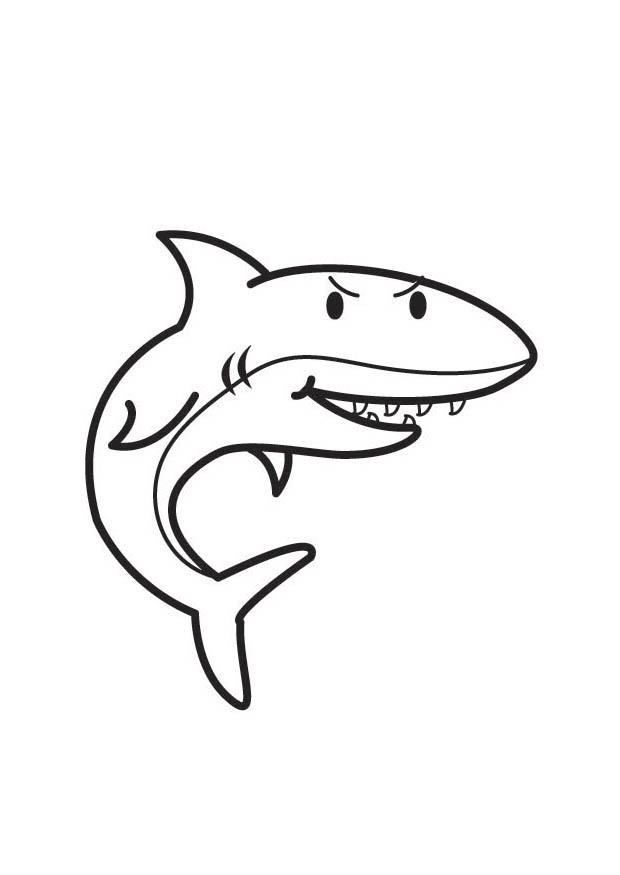 Un requin majestueux nageant dans l'océan