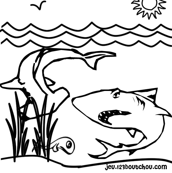 Coloriage de requin évoluant dans les profondeurs marines