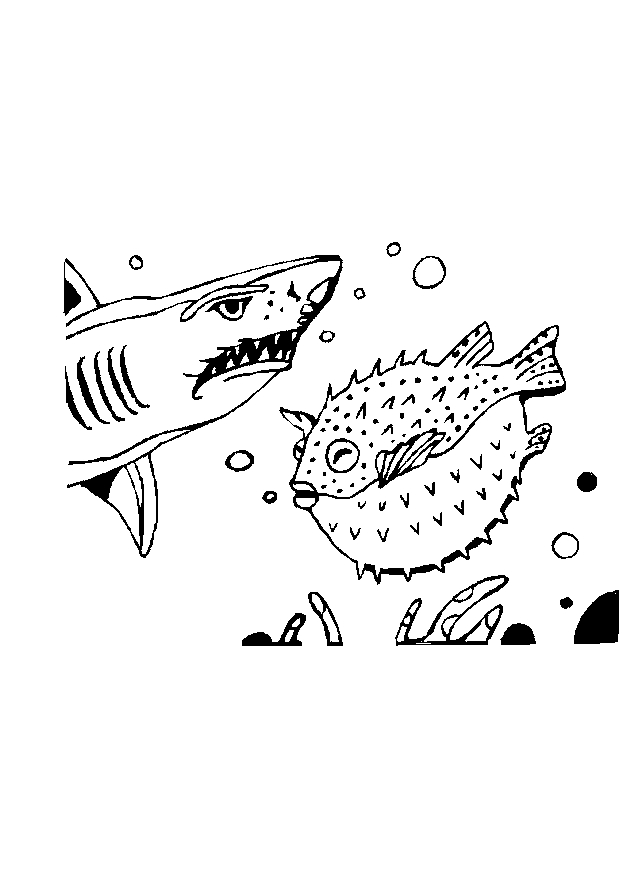 Coloriage d'un requin nageant dans l'océan
