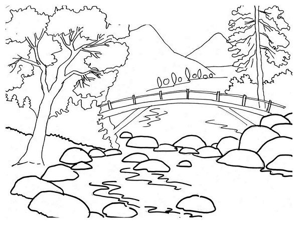 Rivière paisible serpentant entre arbres et rochers