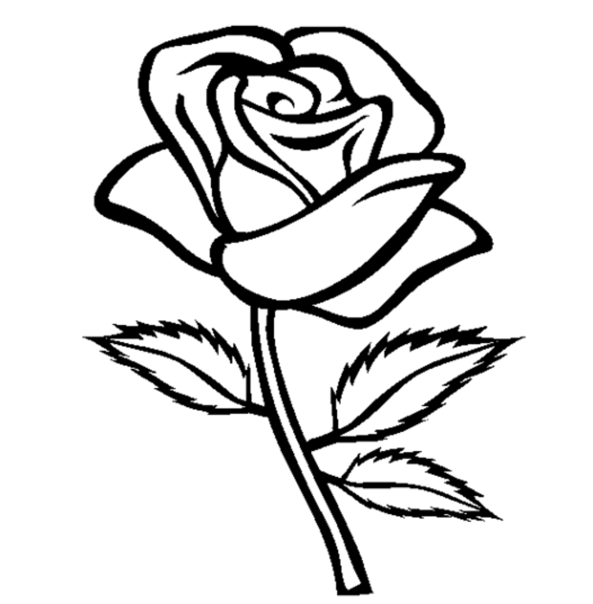 Coloriage de roses en pleine floraison sur un fond décoratif