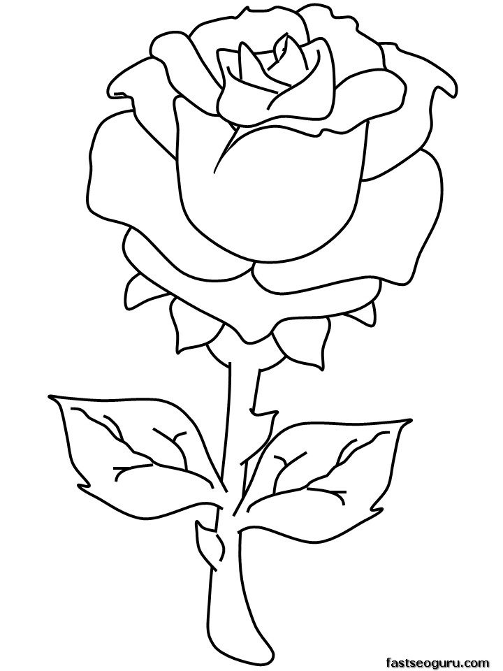 Roses en pleine floraison sur fond décoratif