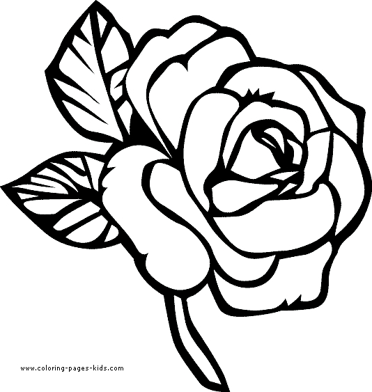Coloriage de roses avec feuilles et tiges