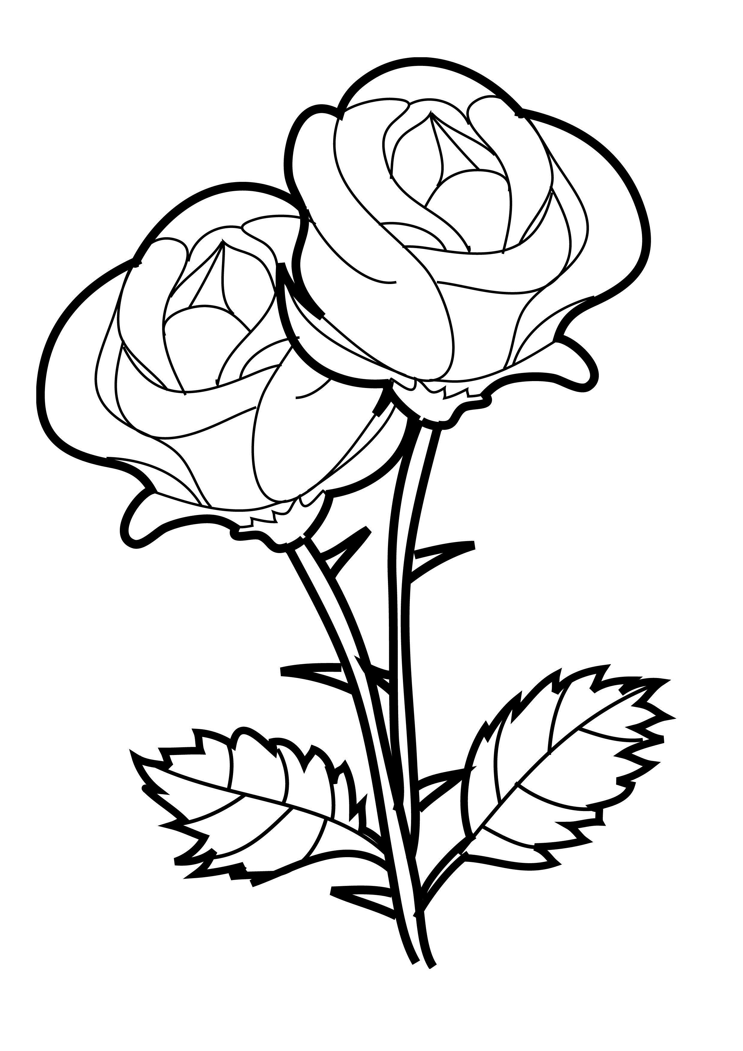 Coloriage de roses épanouies dans un jardin stylisé