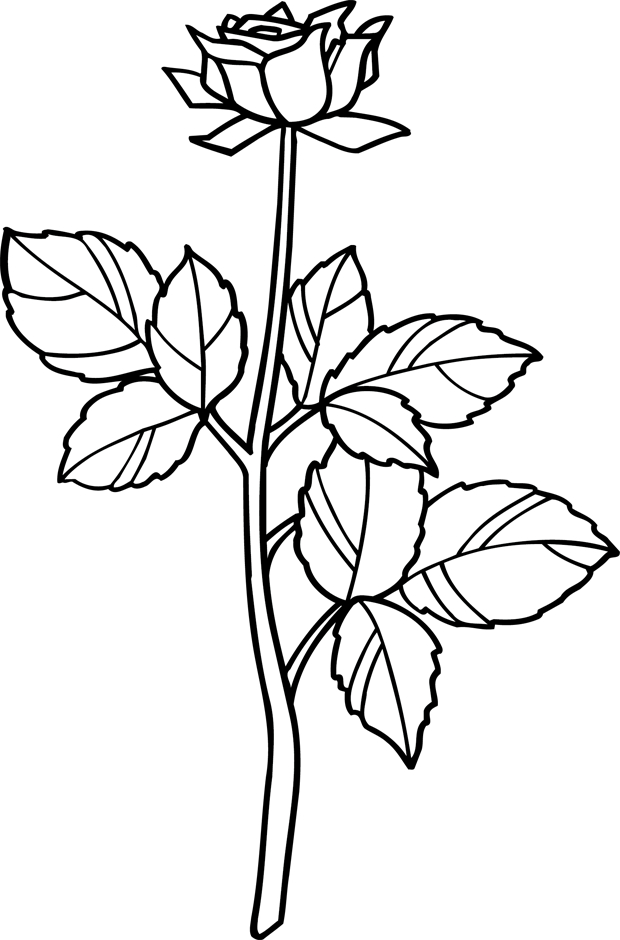 Coloriage de roses sur fond naturel