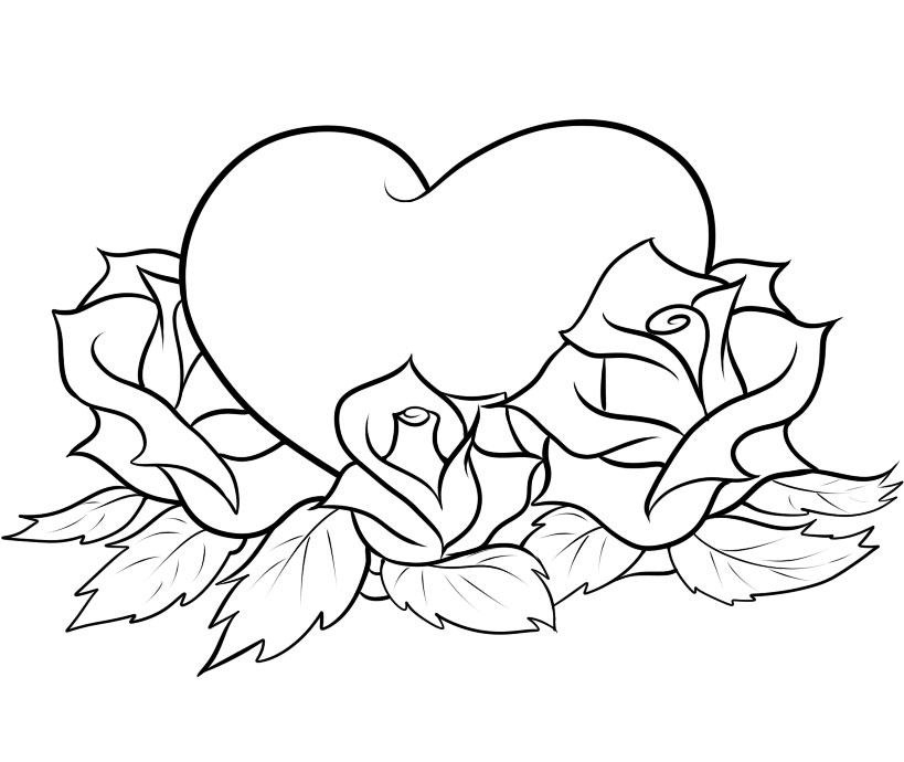 Coloriage de roses délicates sur un fond floral