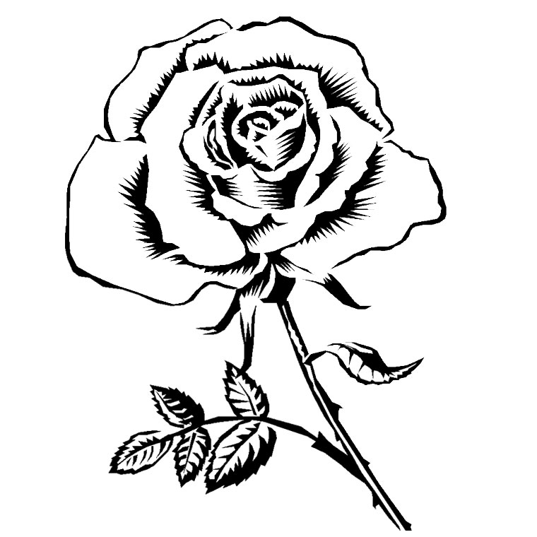 Coloriage de roses délicates sur un fond simple