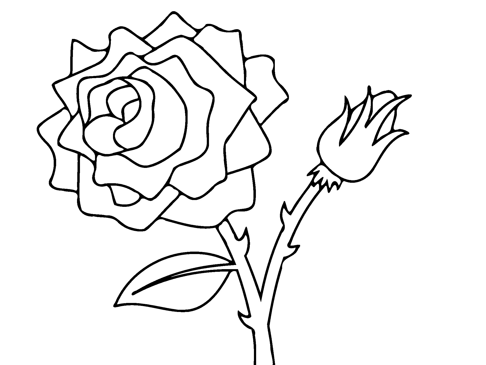 Coloriage de roses élégamment disposées sur une surface texturée