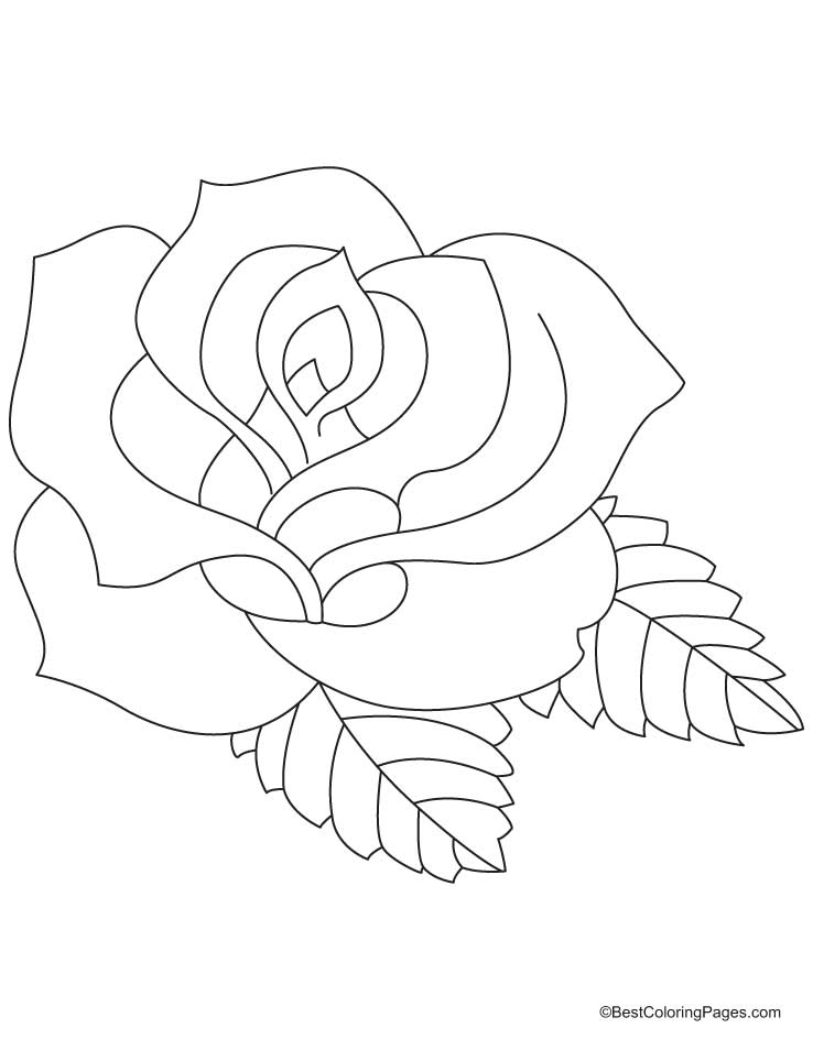 Coloriage de roses élégantes sur une toile délicate