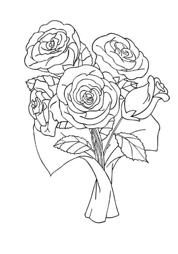 Coloriage de roses dans un jardin luxuriant