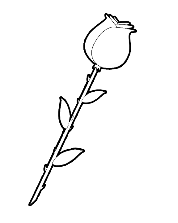 Coloriage de roses épanouies sur fond décoratif