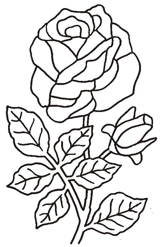 Coloriage de roses élégantes dans un cadre floral