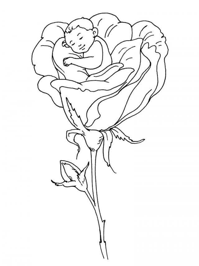 Coloriage de roses sur tige avec feuillage