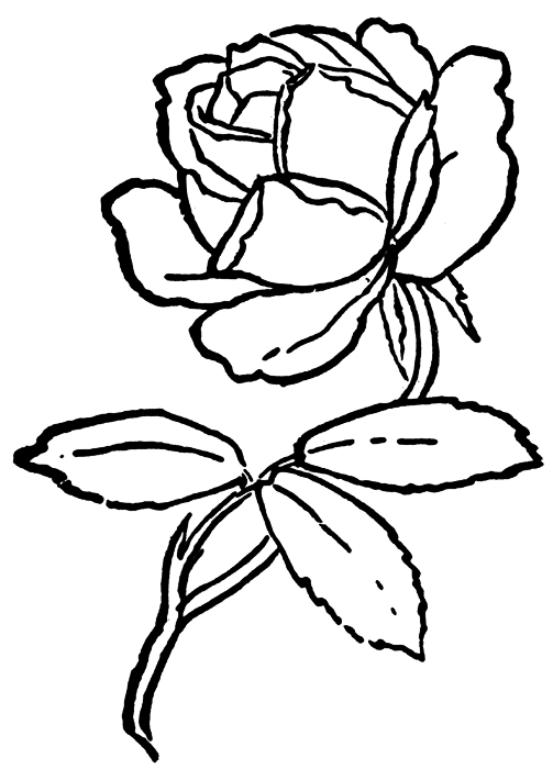 Un coloriage de roses élégantes sur fond floral