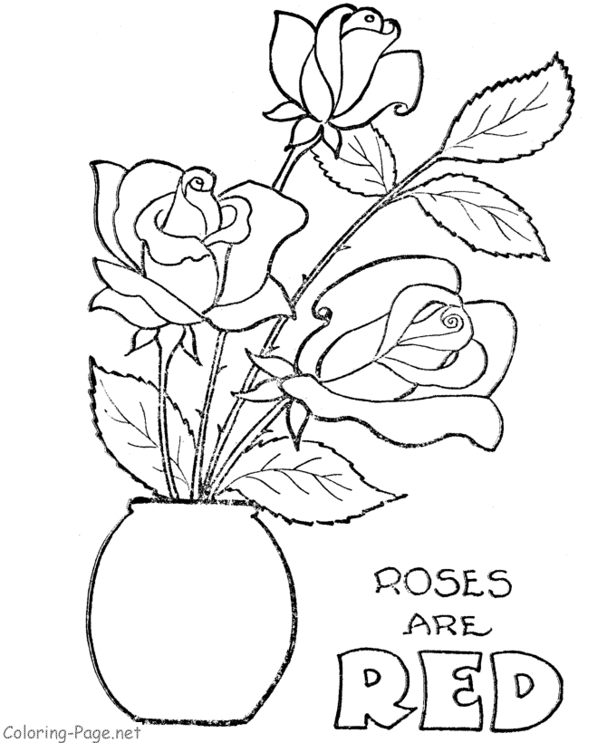 Coloriage de roses délicates entourées de feuillage