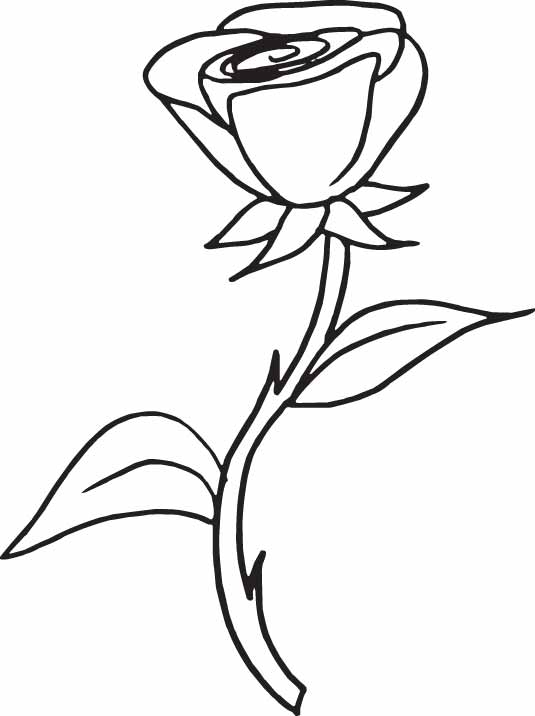 Coloriage de roses en pleine floraison sur fond détaillé