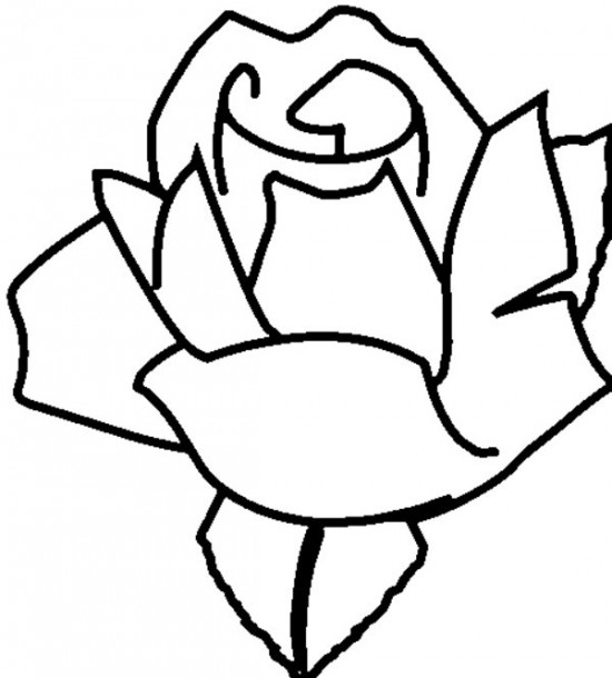 Coloriage de roses en pleine floraison sur un fond texturé
