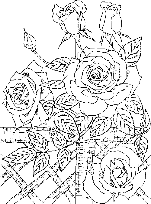 Coloriage de roses élégantes sur fond décoratif