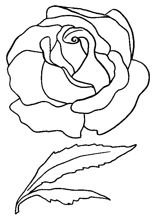 Coloriage de roses en pleine floraison avec des feuilles