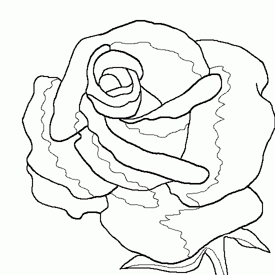 Coloriage de roses élégantes sur une feuille délicate