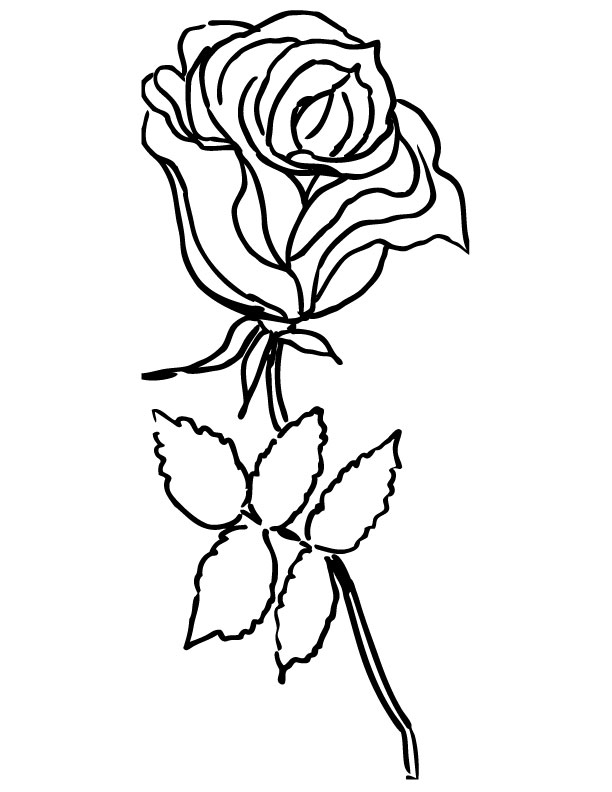 Coloriage de roses élégantes sur un fond floral