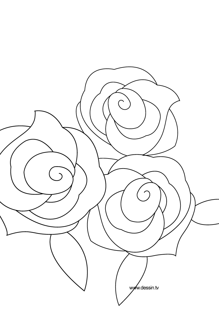 Coloriage de roses en pleine floraison sur fond orné