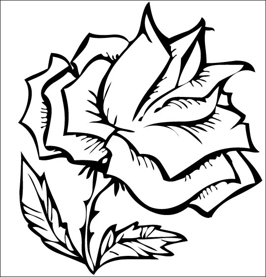 Coloriage de roses en pleine floraison sur fond délicat