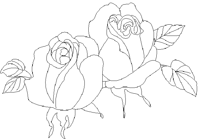 Coloriage de roses délicates sur tige ornée de feuilles